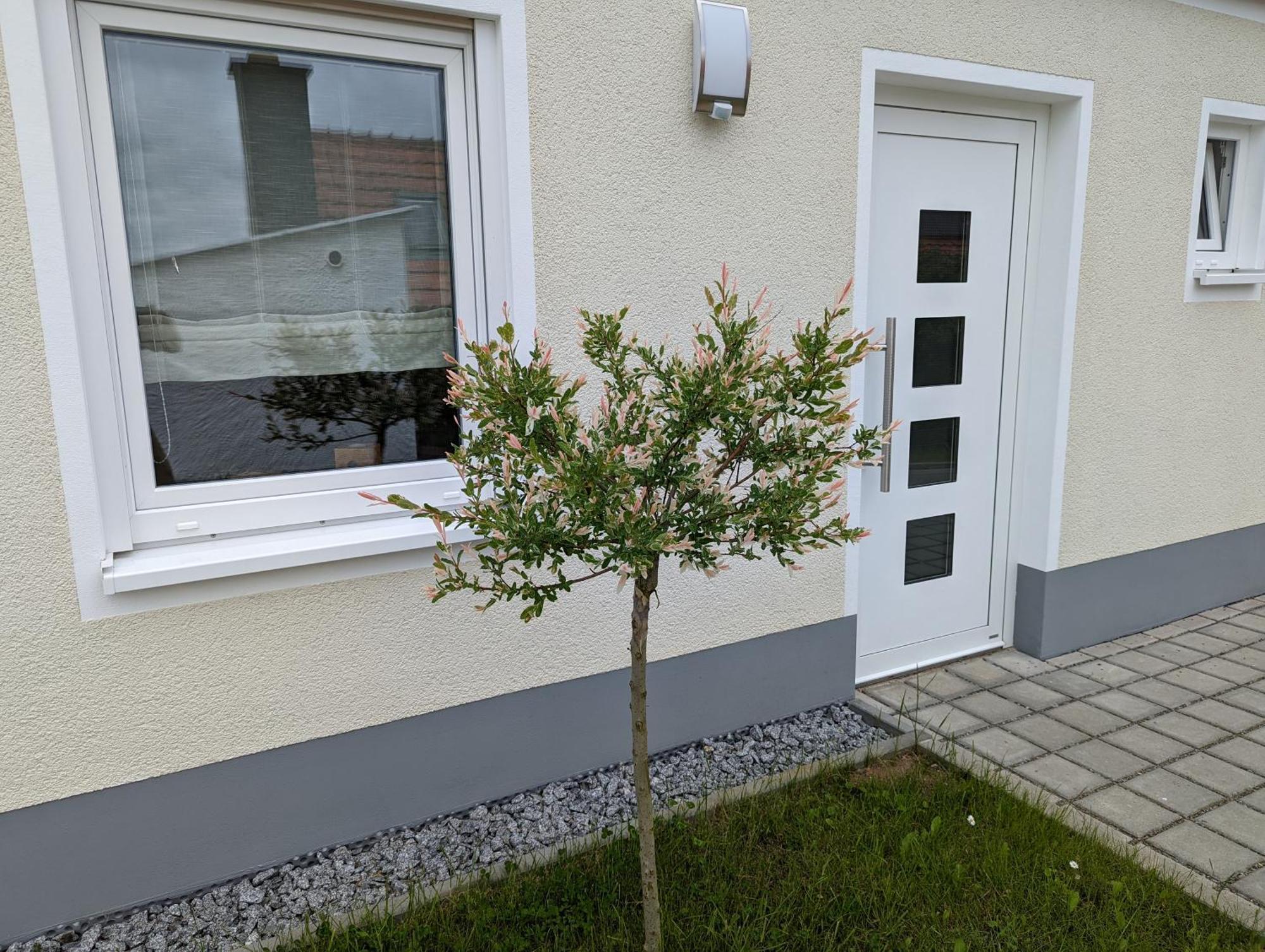 Kallmerode Ferienhaus Zum Kuckuck, Wng 2, Urlaub Im Eichsfeld מראה חיצוני תמונה